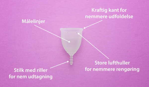 OrganiCup - AllMatters - Image 2